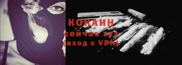 первитин Туринск