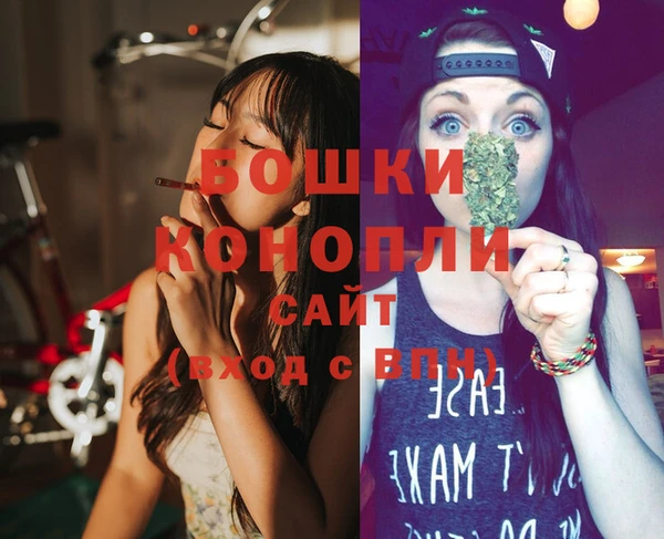первитин Туринск