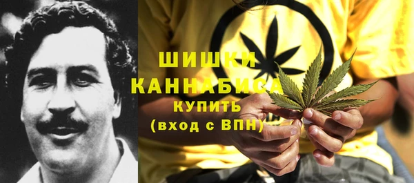 первитин Туринск